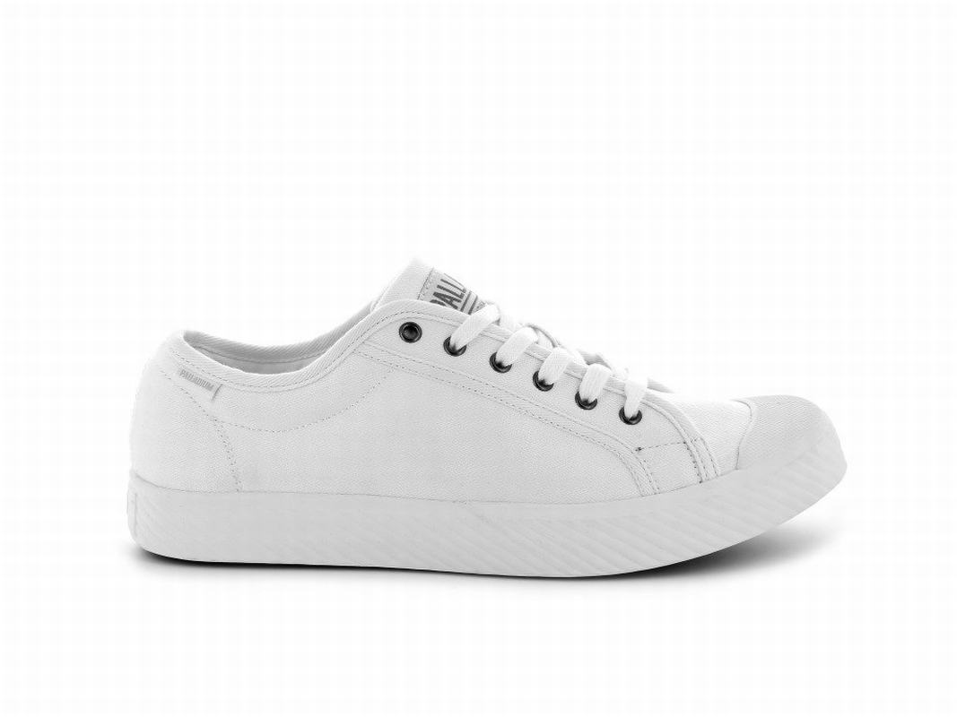 Palladium Pallaphoenix Og Canvas Mens Low Top Sneakers White Australia [HUFRVZ-596]